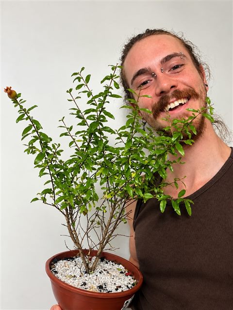 Iago, criador da Bonsai-Aru, sorrindo ao lado de uma romãzeira em vaso